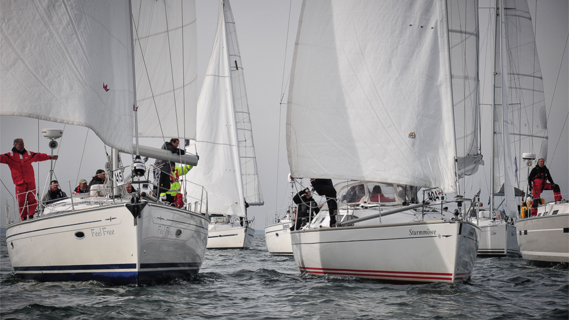 Regattafeld bei einem Firmenevent Segeln für Mitarbeiter und Kunden