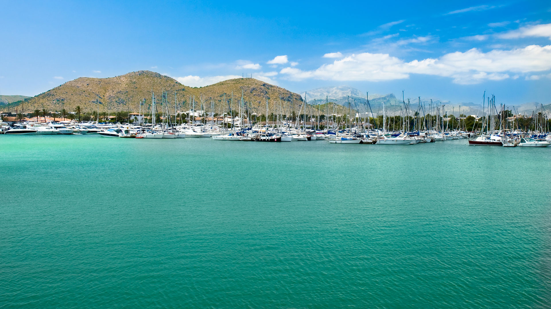 Törnvorschlag 5 ab Can Pastilla: Hafen von Alcudia