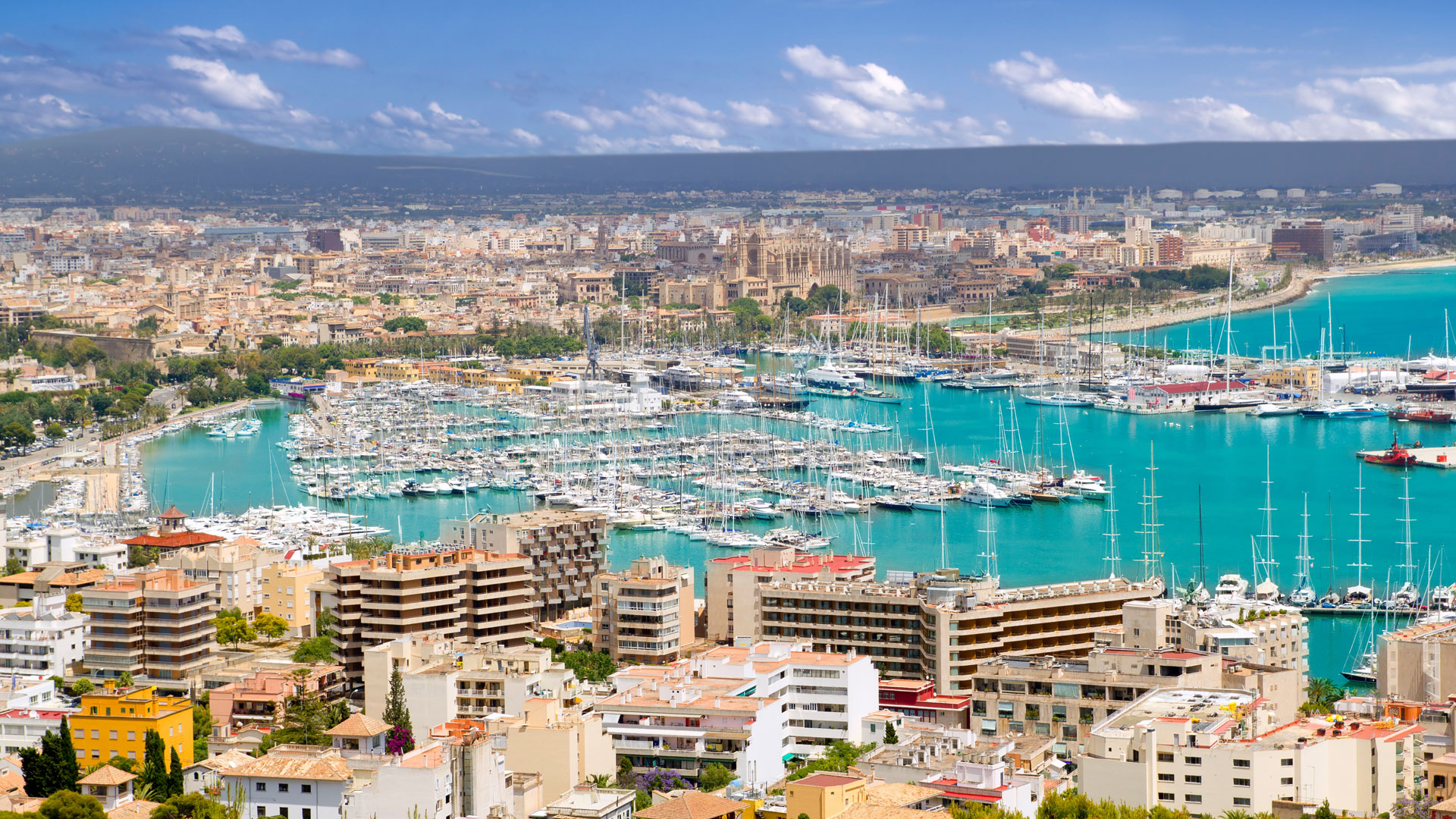 Törnvorschlag 1 ab Can Pastilla: Blick über den Yachthafen von Palma